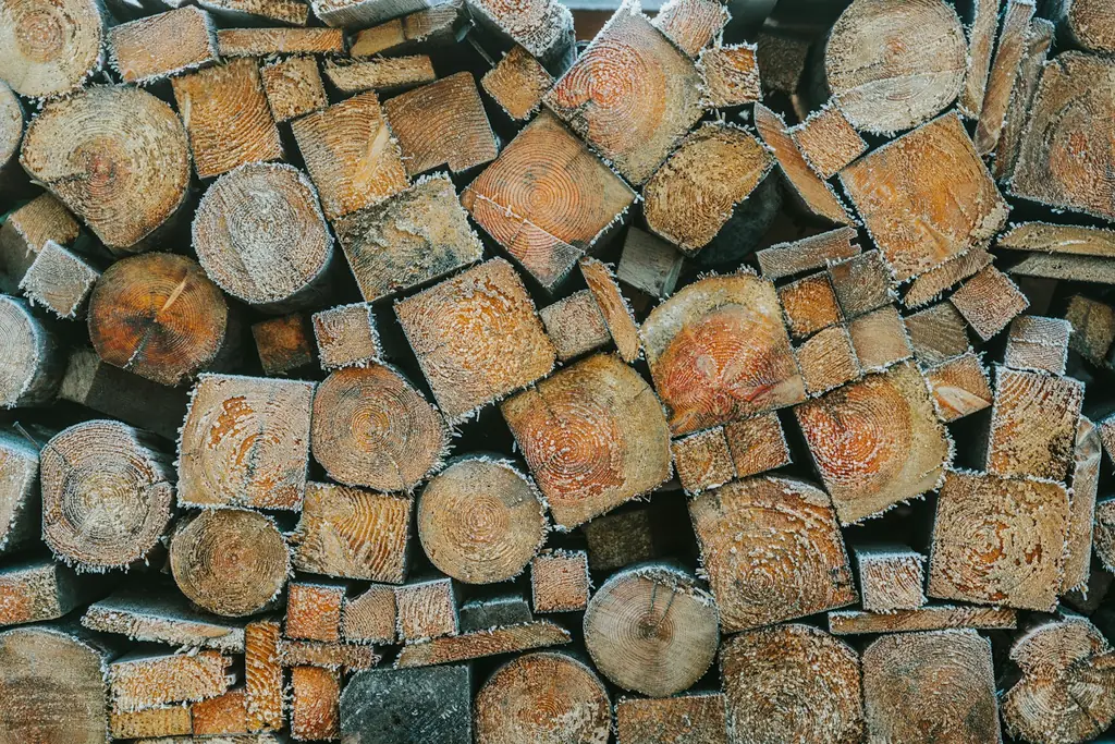 Cut ends of stacked timber logs